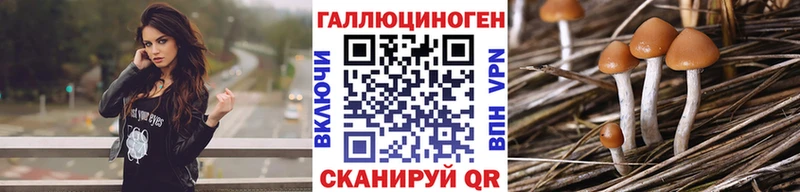 Галлюциногенные грибы мухоморы  Борзя 